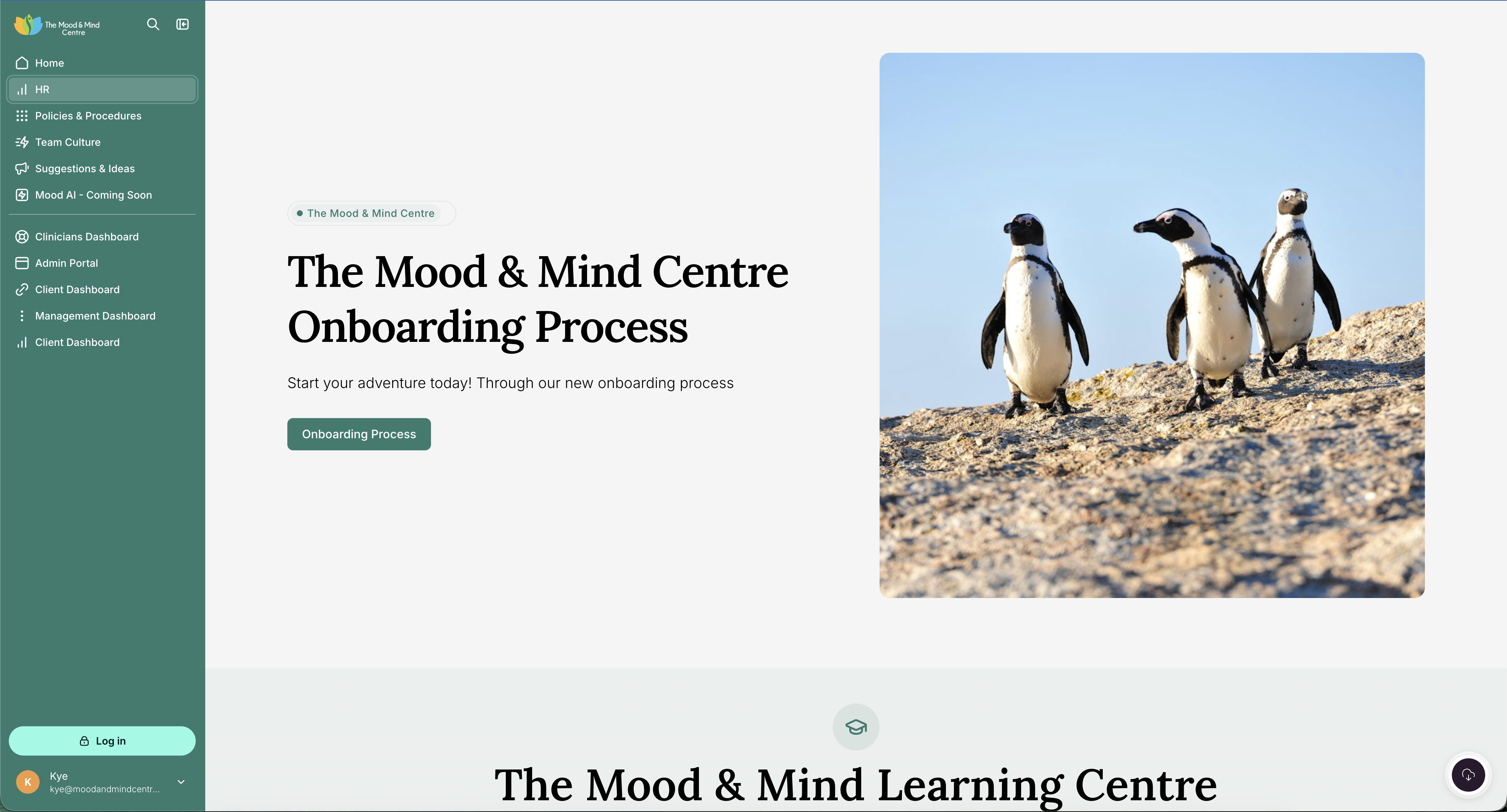 Mood & Mind Hub, Internal Platform